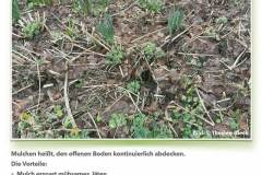 MULCHEN